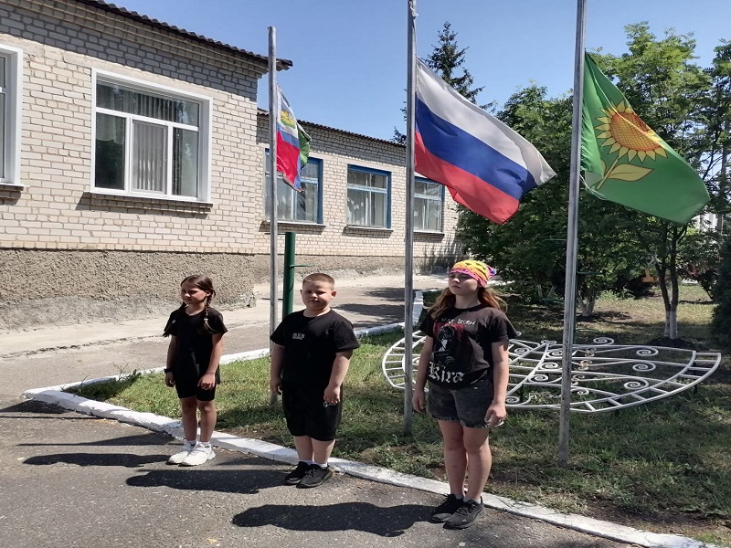 Давайте знакомиться.